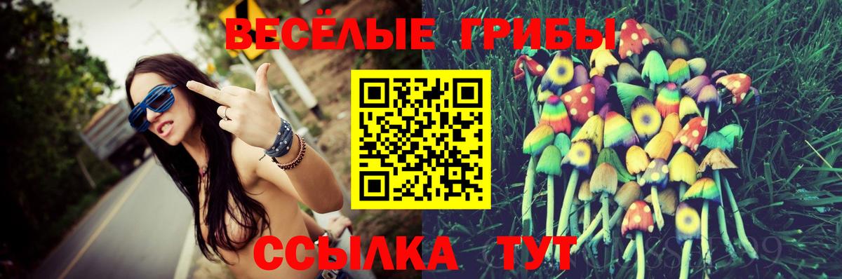 Псилоцибиновые грибы Psilocybe  Вход с VPN  Псилоцибиновые грибы Magic Shrooms  Жигулёвск 