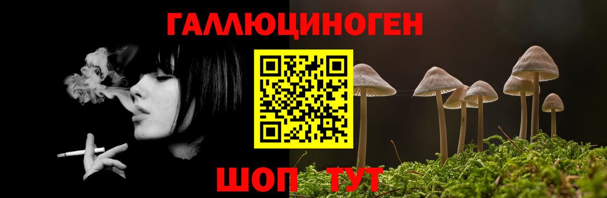 Псилоцибиновые грибы Magic Shrooms Жигулёвск